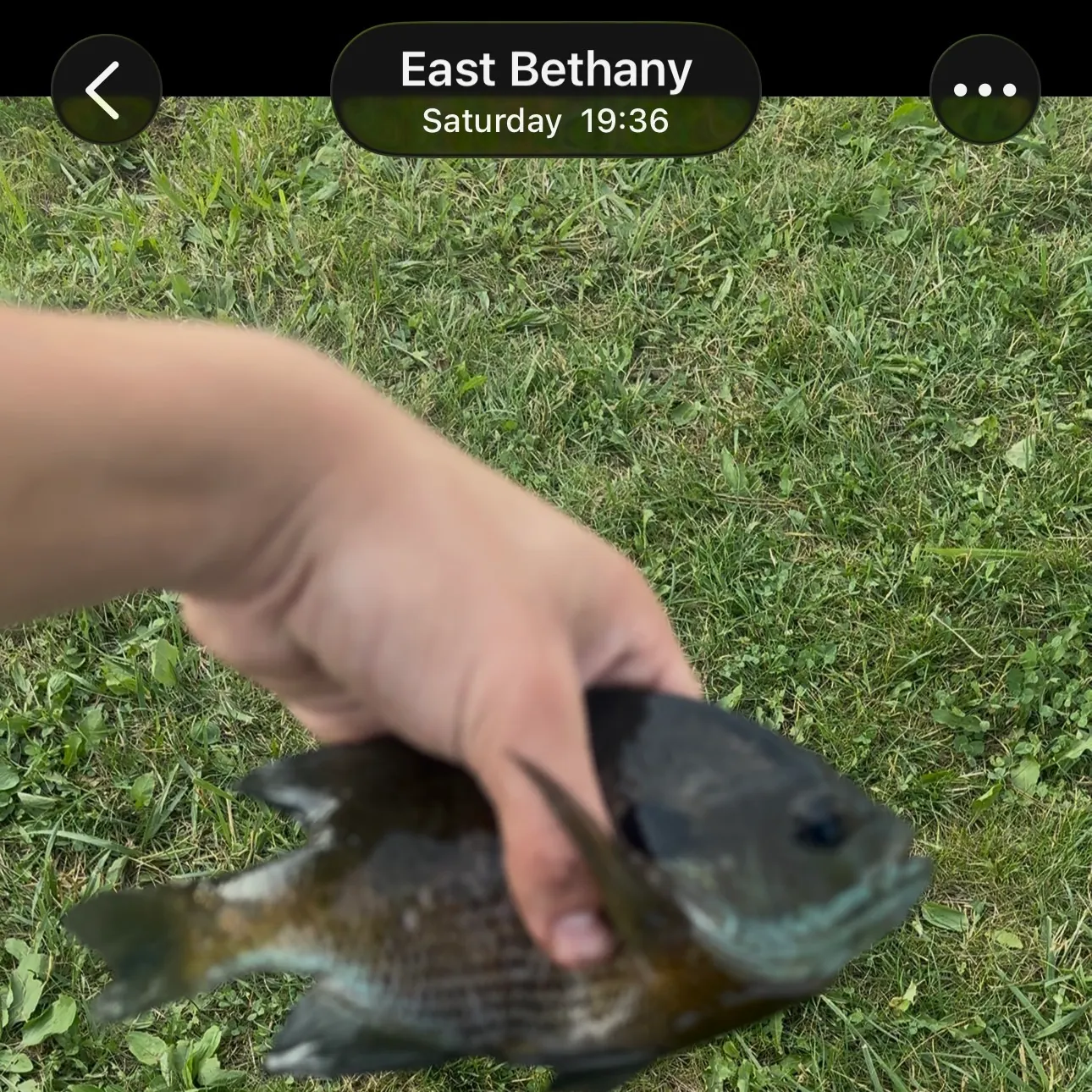 catch