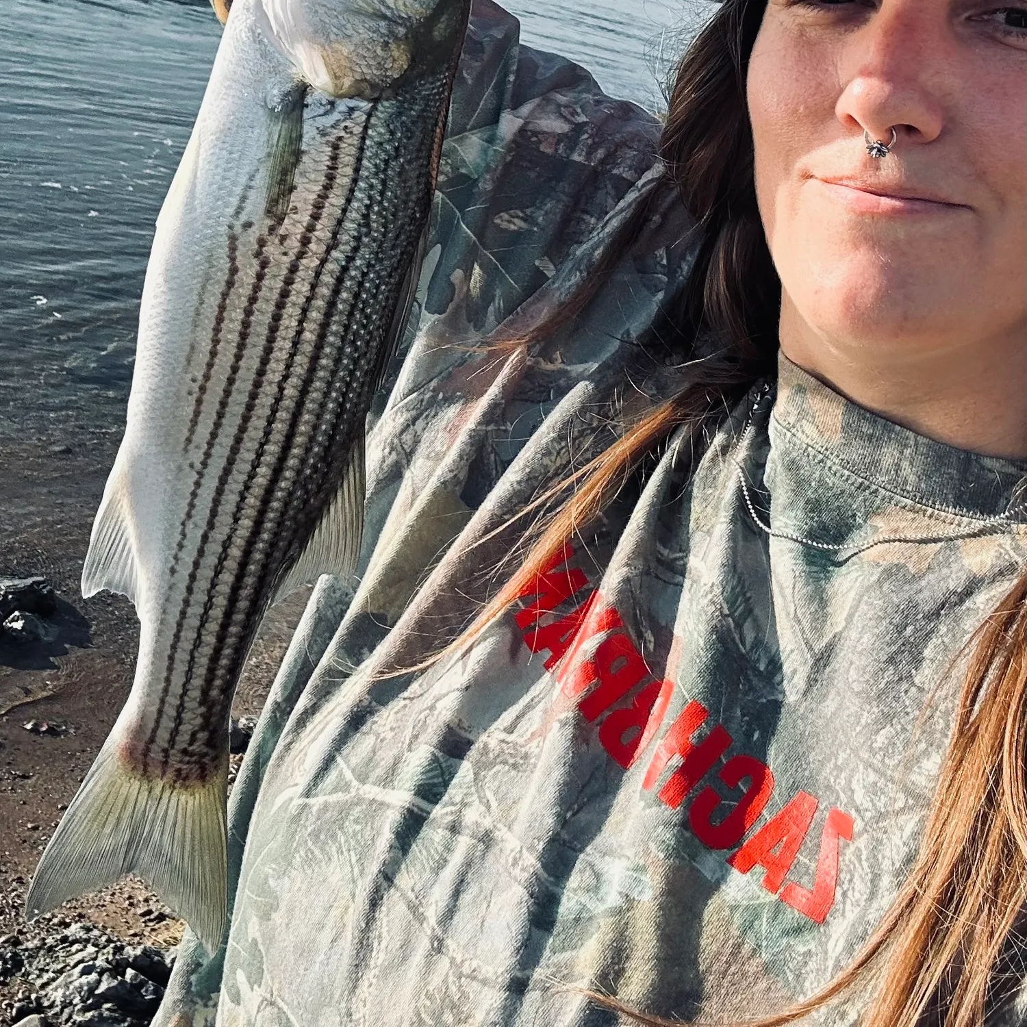 Striped bass caught on Fishbrain