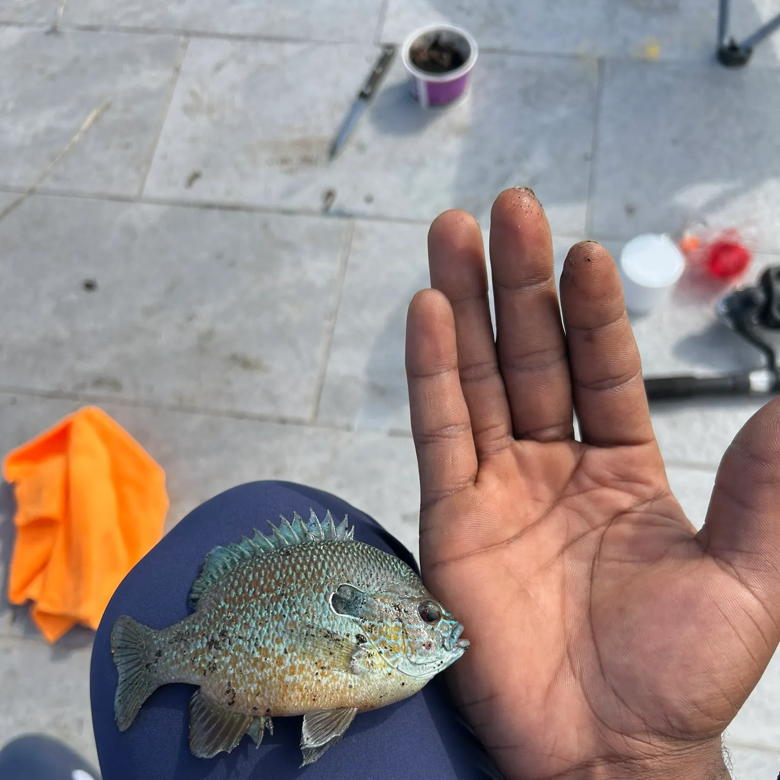 catch