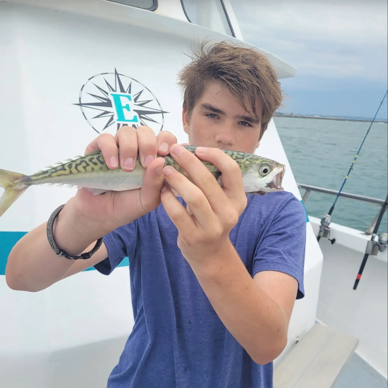 The most recent Atlantic mackerel catches on Fishbrain