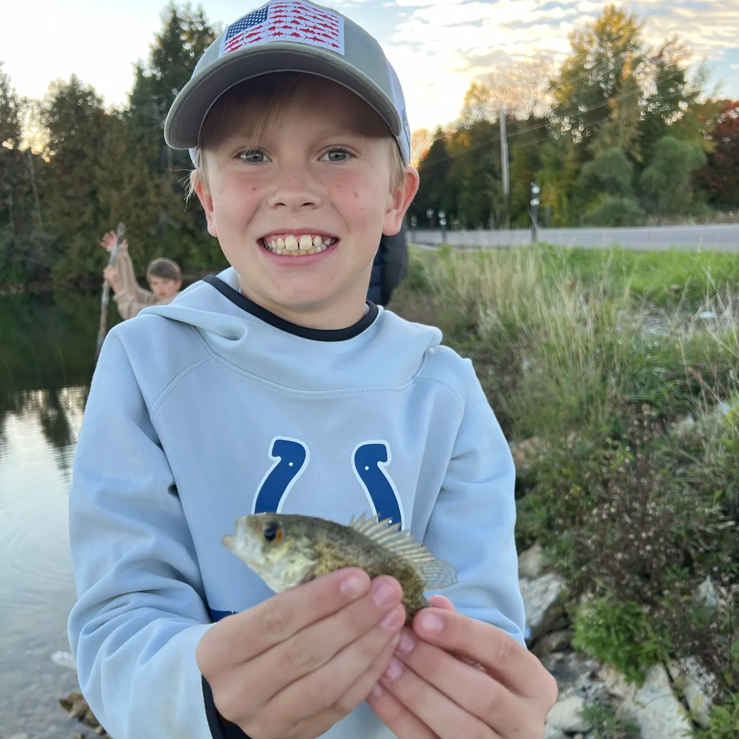 Rock bass caught on Fishbrain