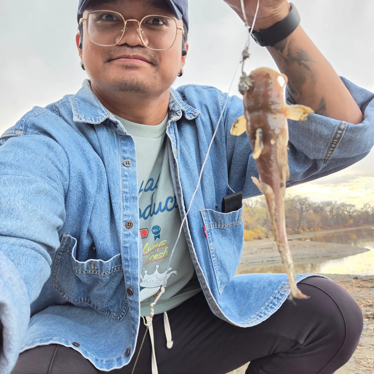 Channel catfish caught on Fishbrain