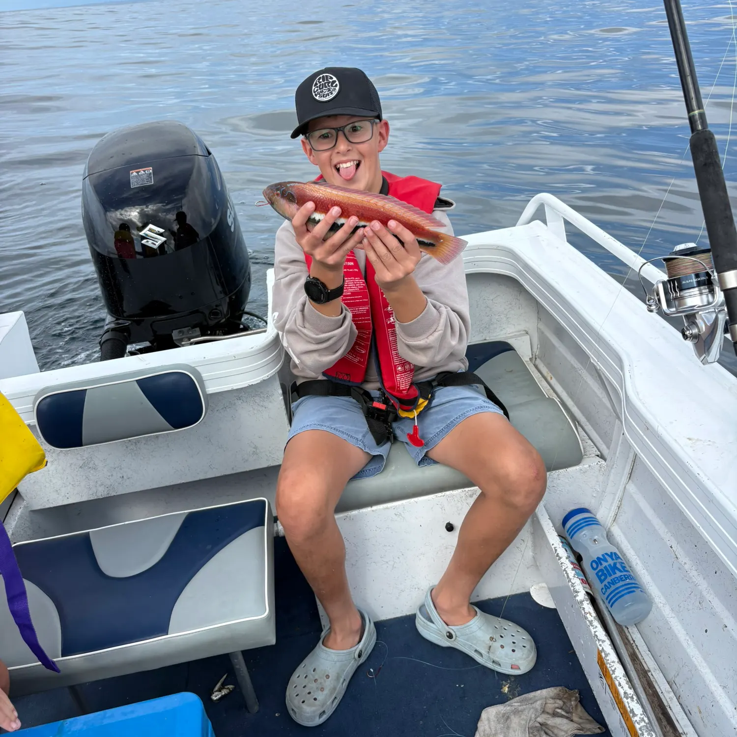 The most recent Mediterranean parrotfish catches on Fishbrain