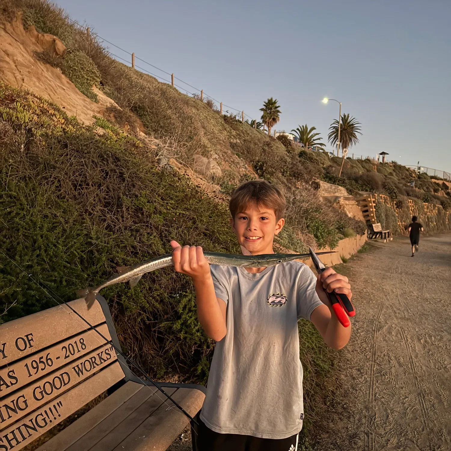 The most recent Mexican needlefish catches on Fishbrain