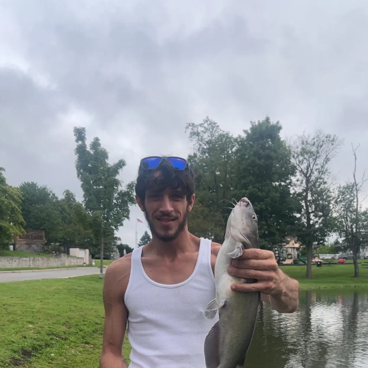 Channel catfish caught on Fishbrain