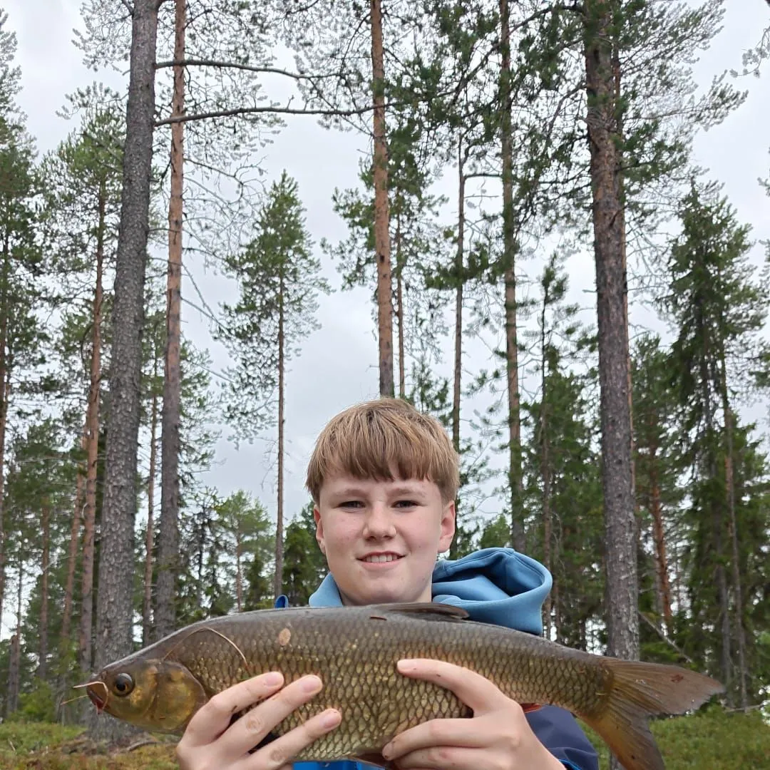 Fish caught on Fishbrain