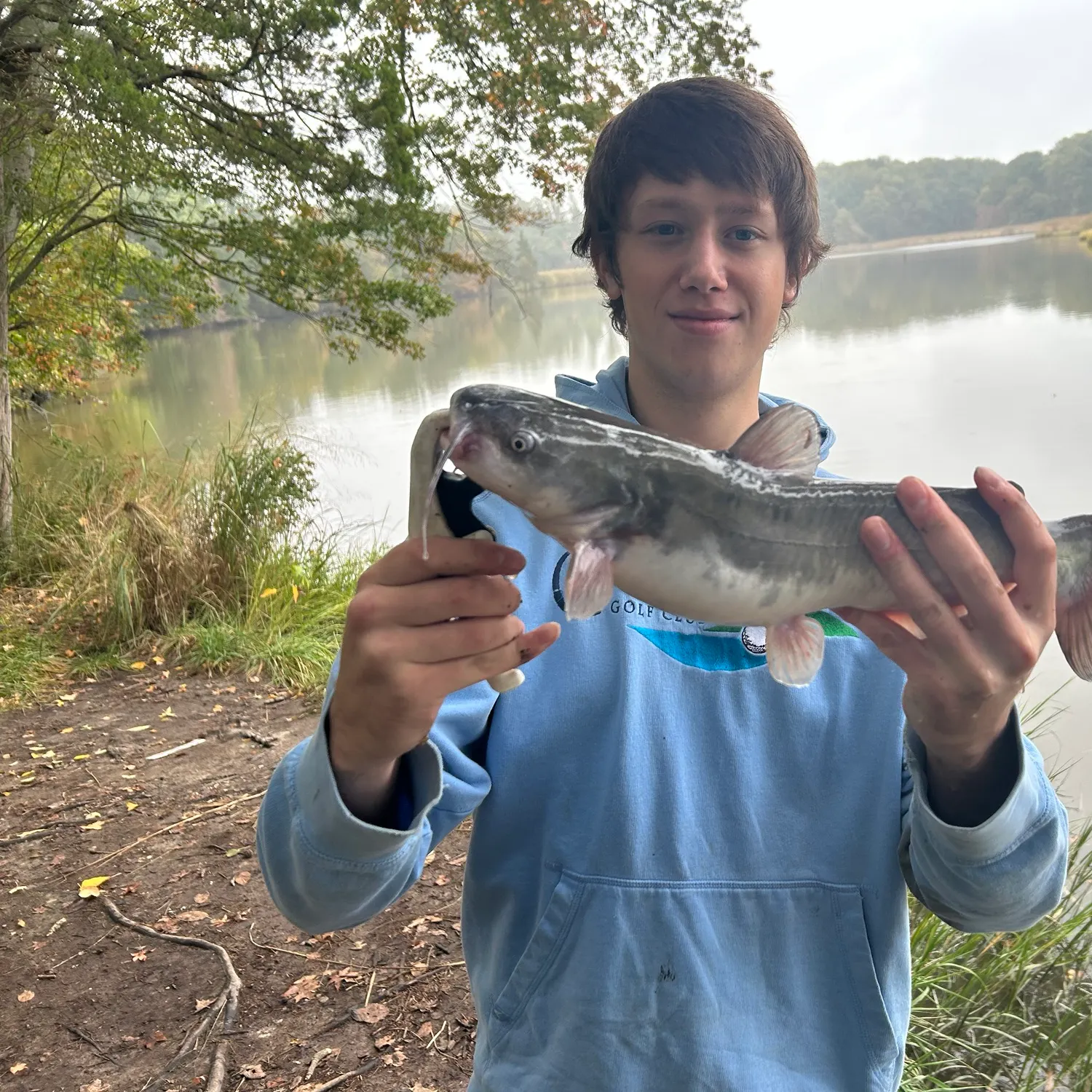 White bullhead caught on Fishbrain