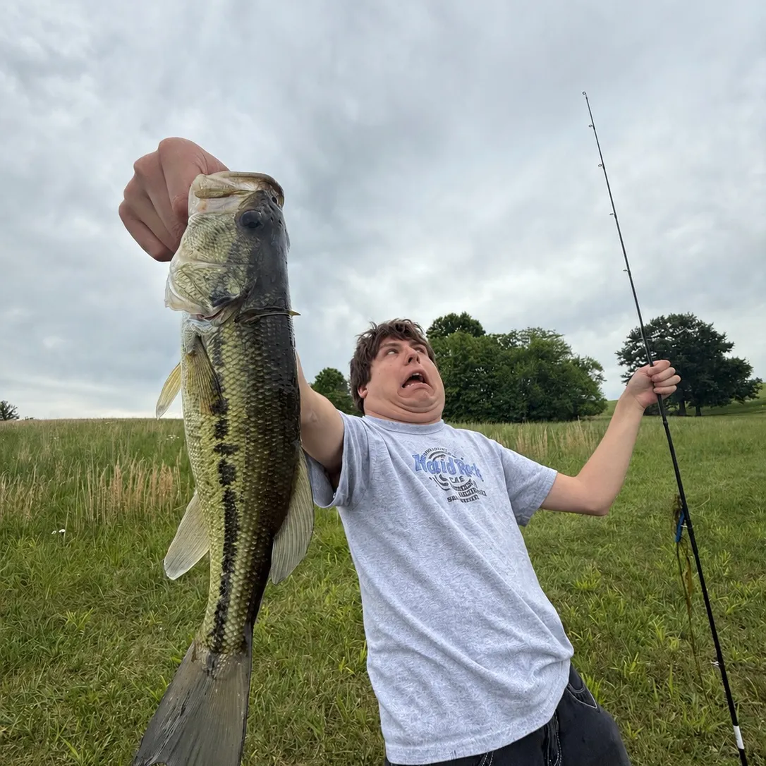 The most recent Wahoo catches on Fishbrain