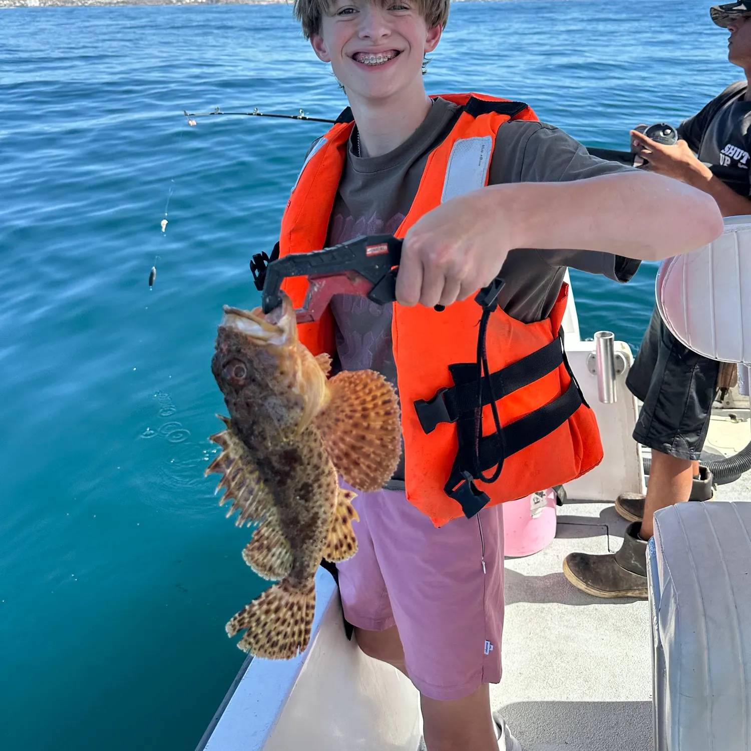 California scorpionfish caught on Fishbrain