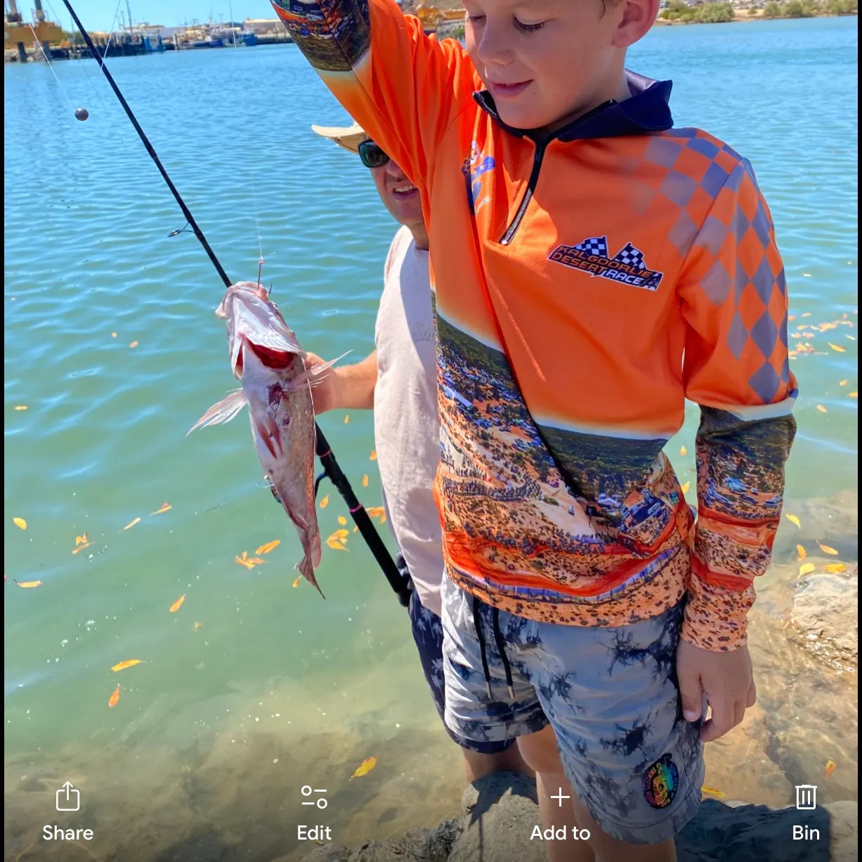 Channel catfish caught on Fishbrain