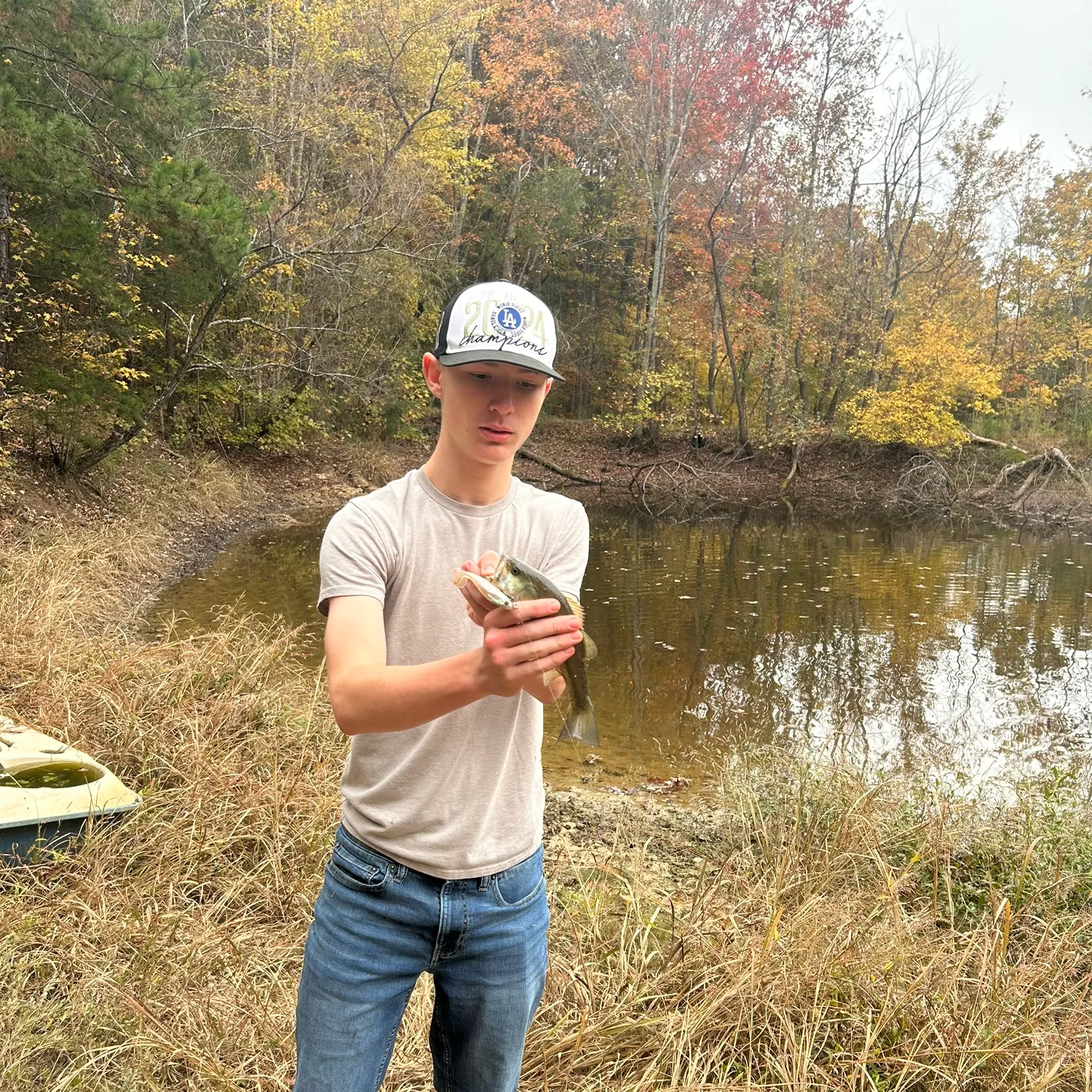 The most recent Spotted bass catches on Fishbrain