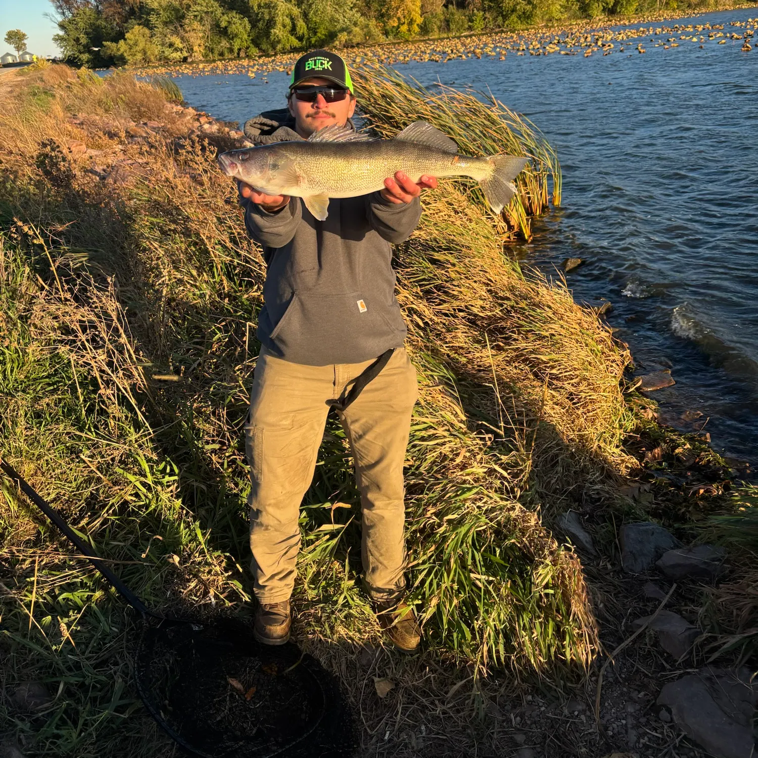 Fish caught on Fishbrain