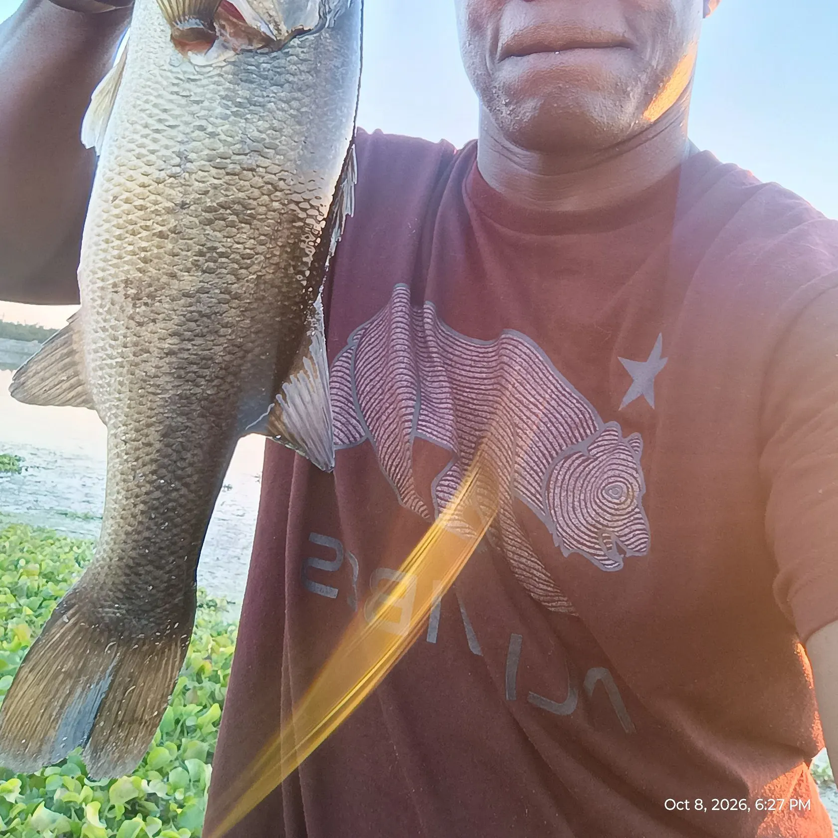 Largemouth bass caught on Fishbrain