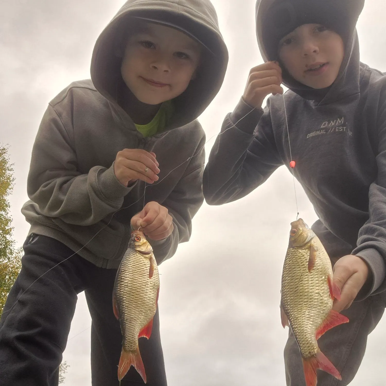 Common rudd caught on Fishbrain
