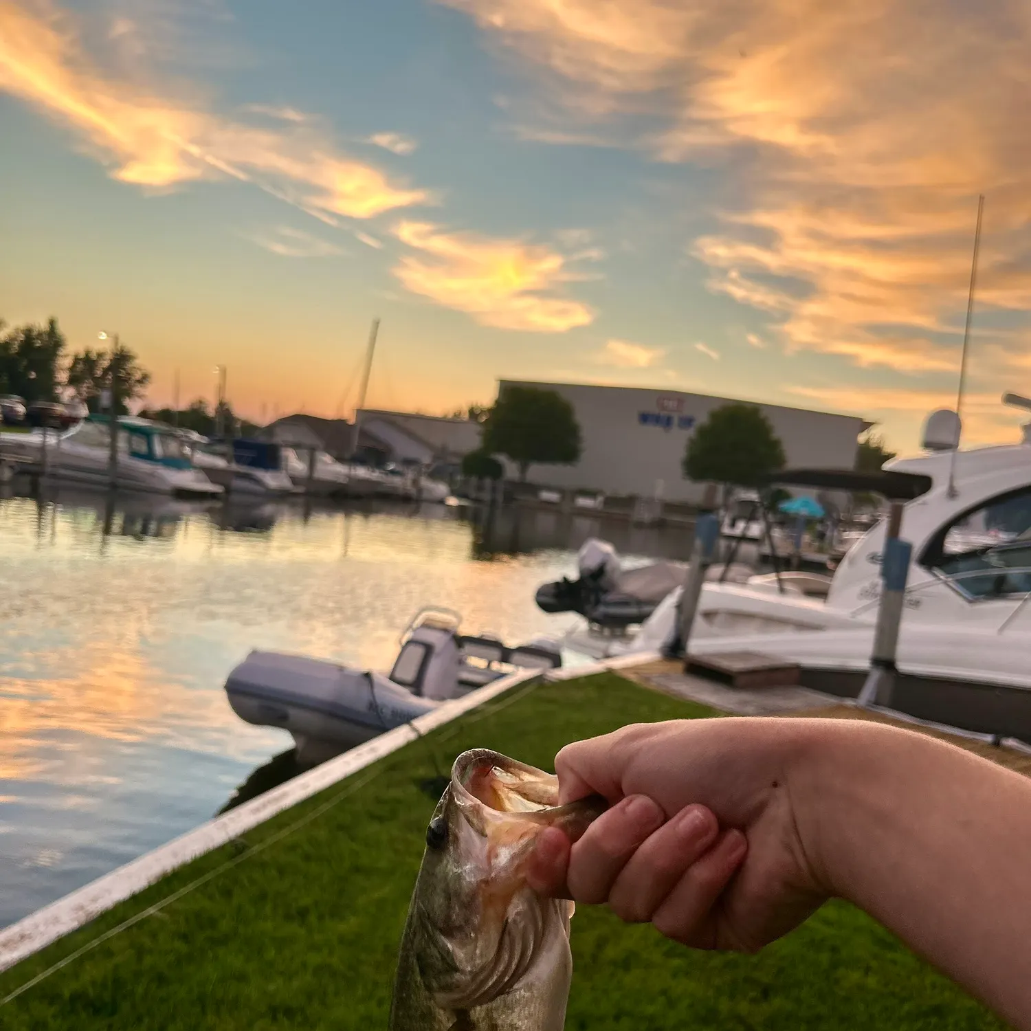 catch