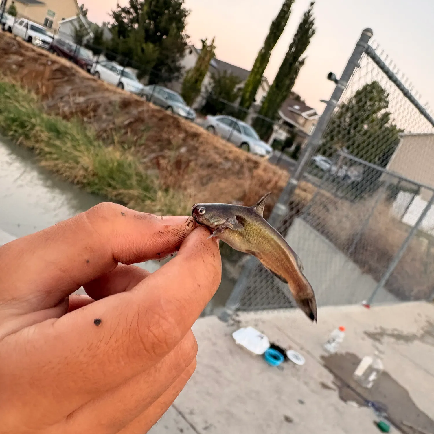 catch