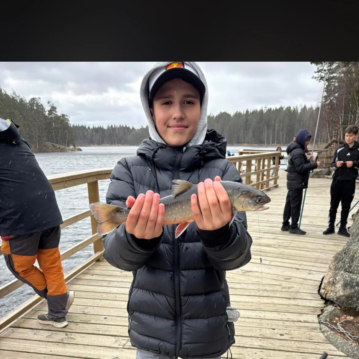 The most recent Arctic char catches on Fishbrain