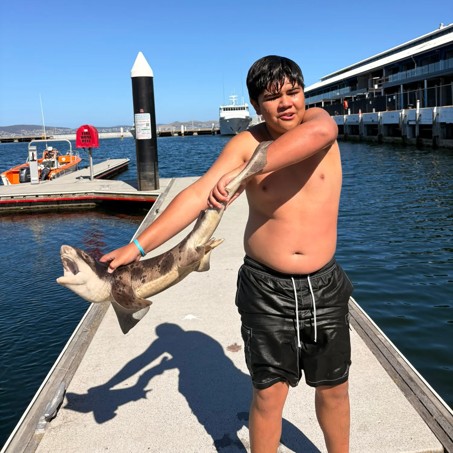 The most recent Draughtsboard shark catches on Fishbrain