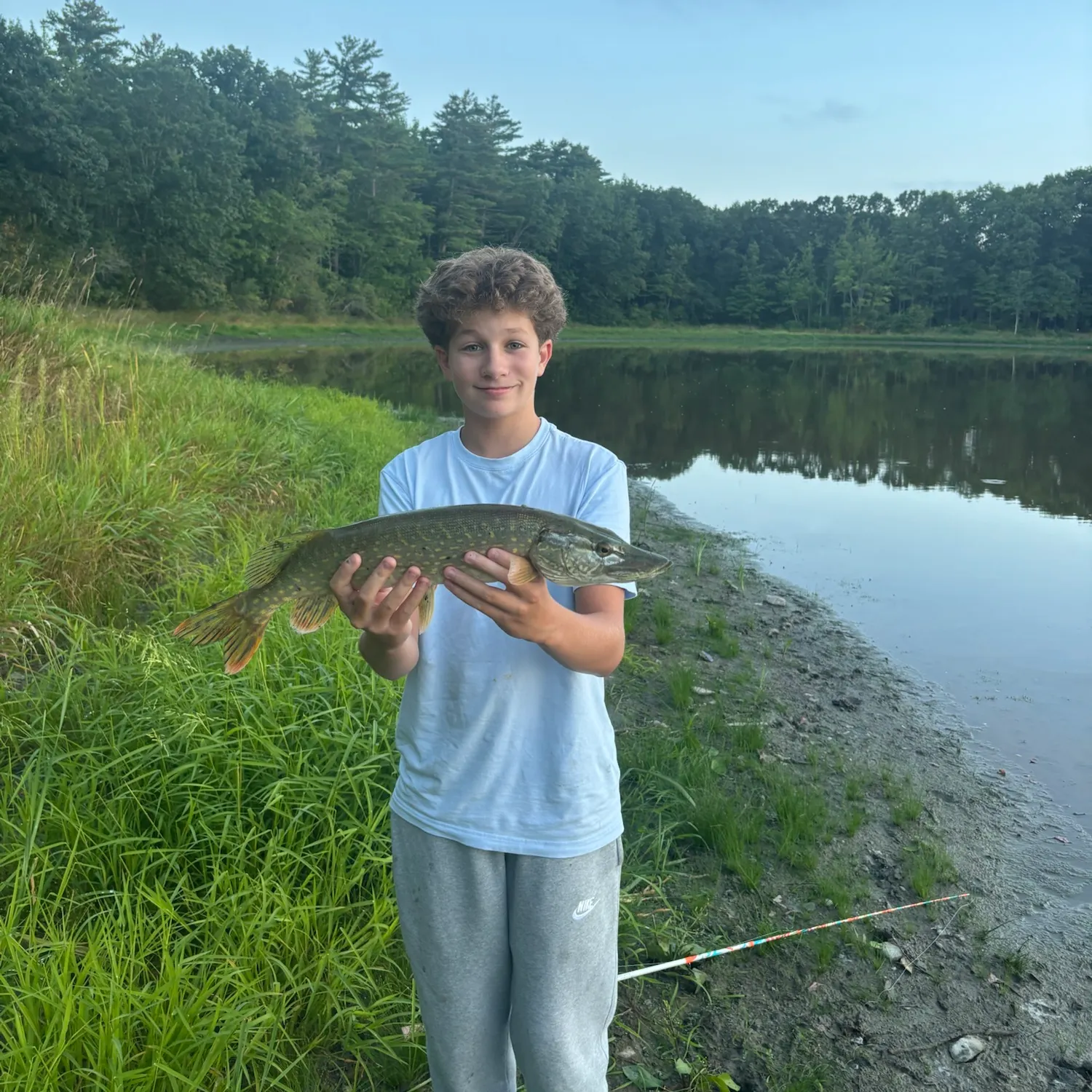 Northern pike caught on Fishbrain