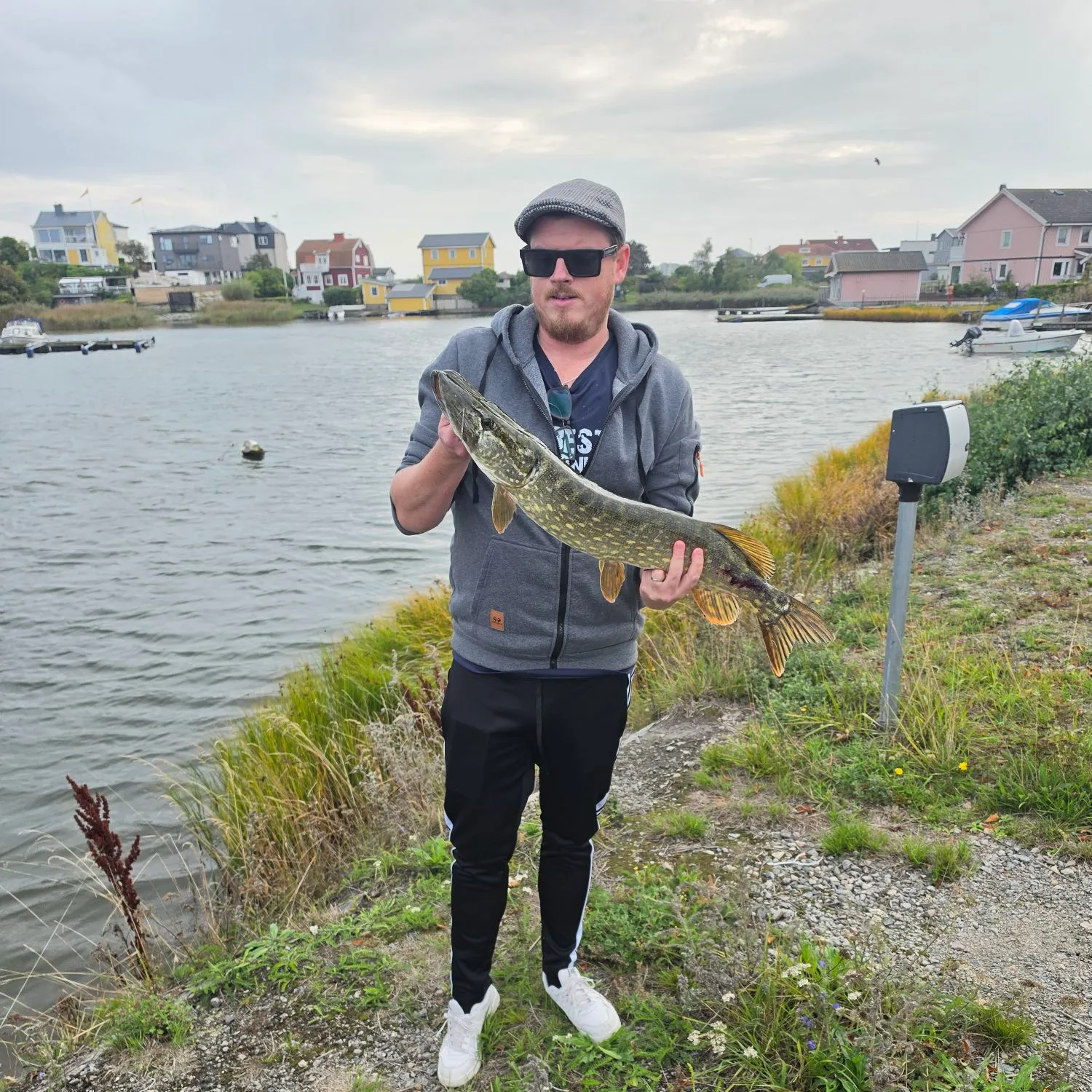 Northern pike caught on Fishbrain
