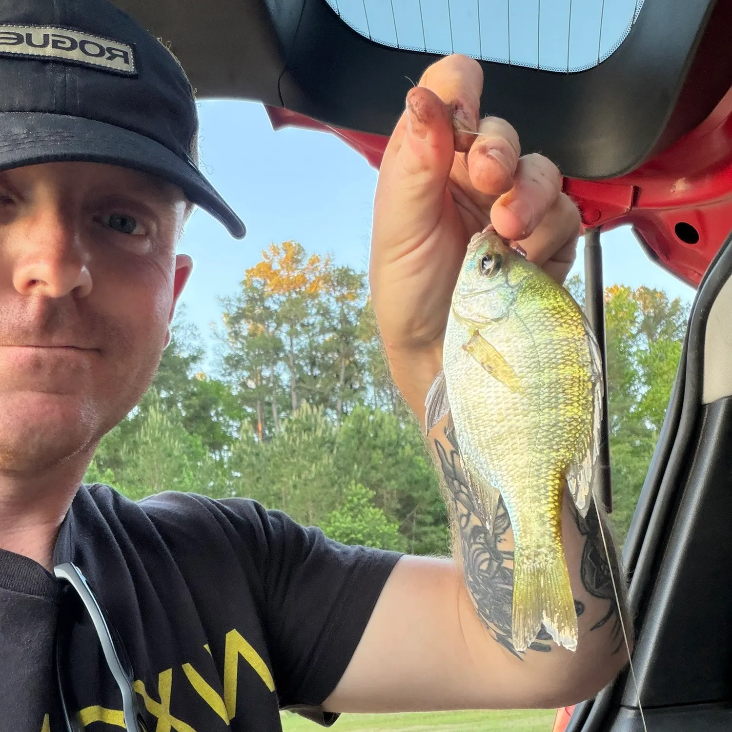 recently logged catches