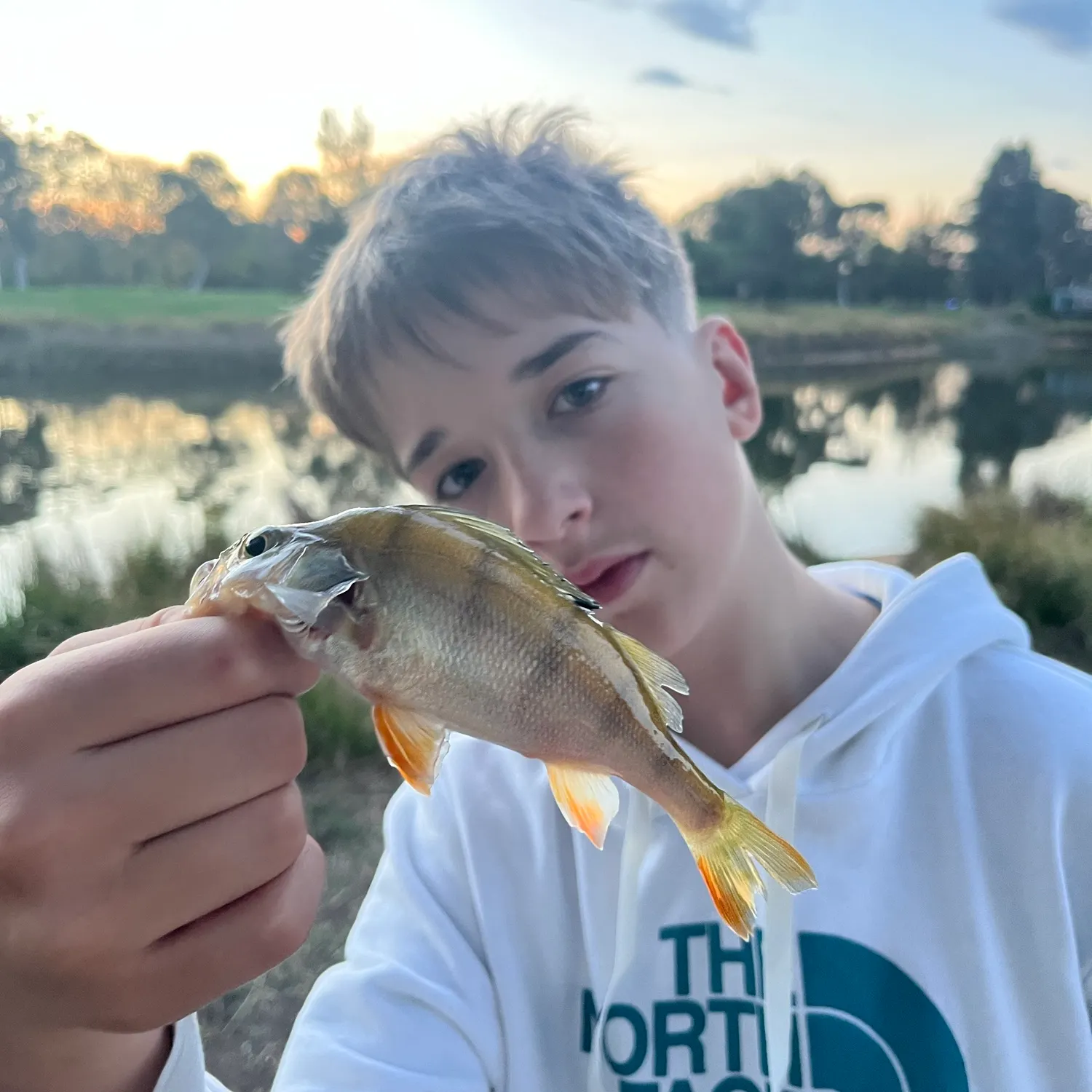 European perch caught on Fishbrain