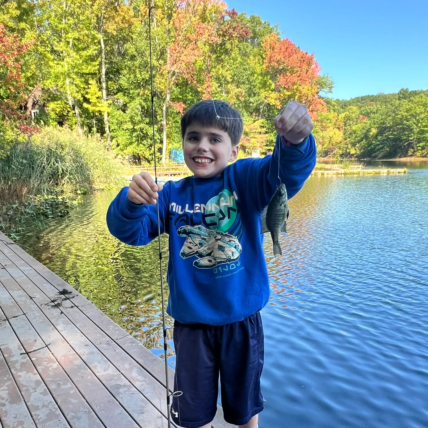 Bluegill caught on Fishbrain