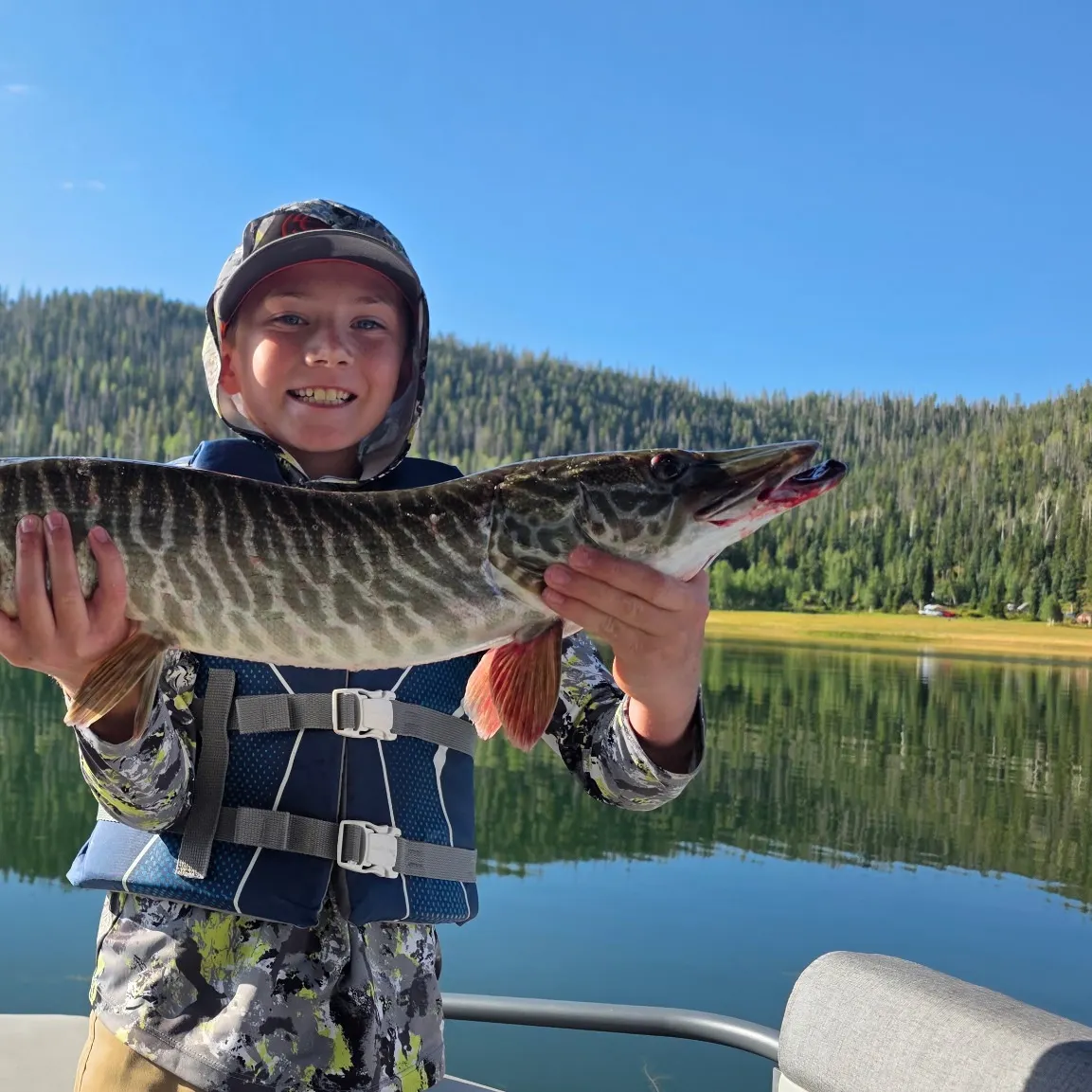 Tiger muskie caught on Fishbrain