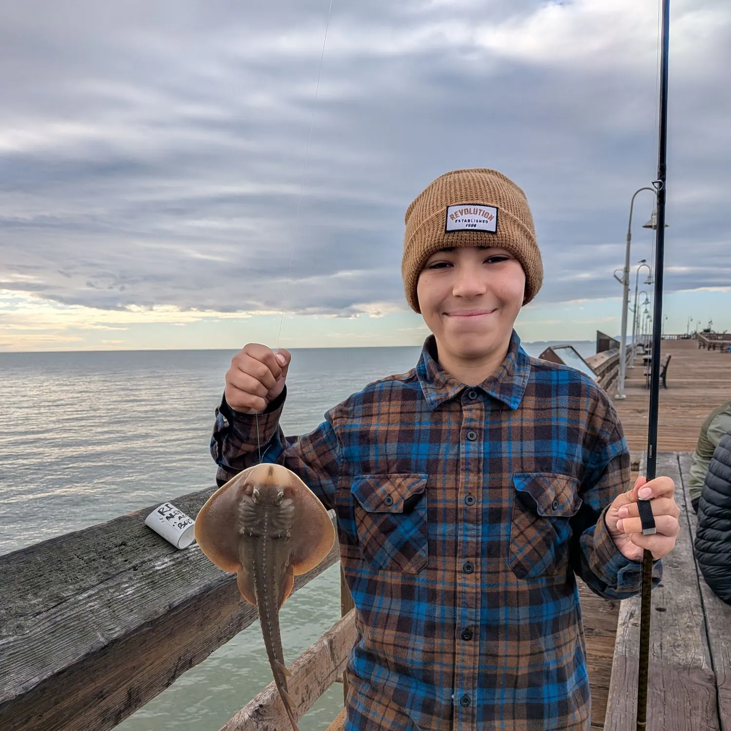 The most recent Thornback ray catches on Fishbrain