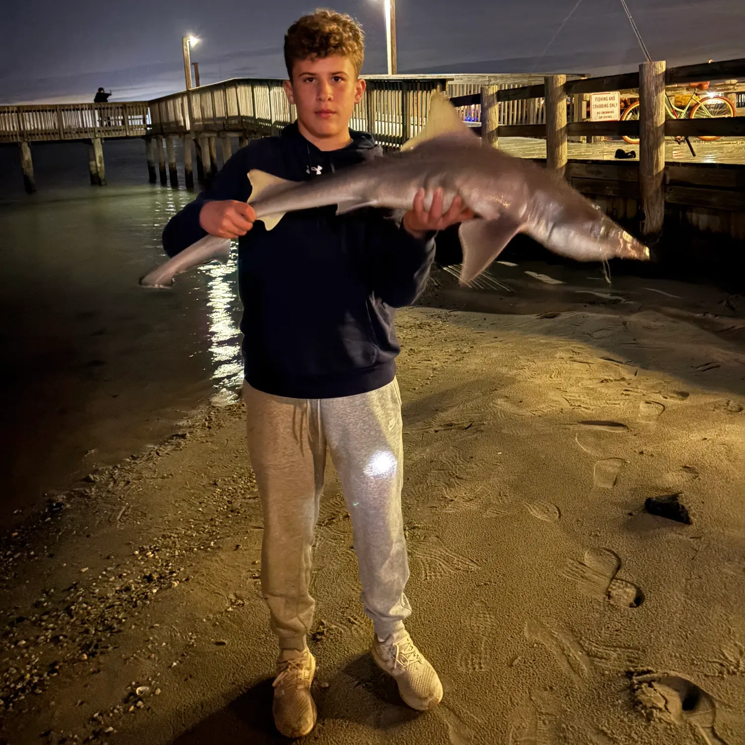 The most recent Dusky smooth-hound catches on Fishbrain