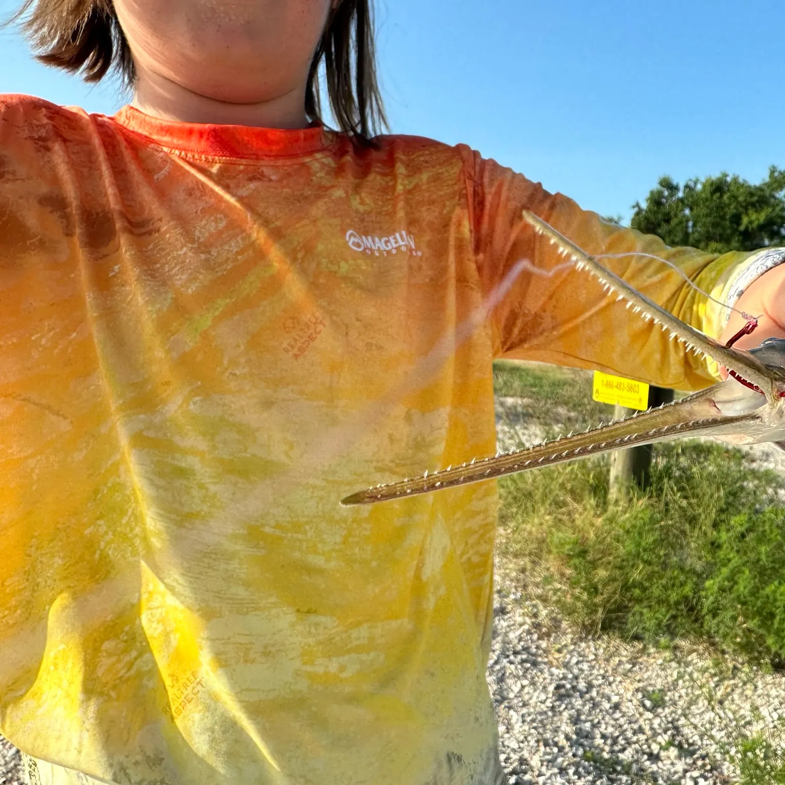 The most recent Atlantic needlefish catches on Fishbrain