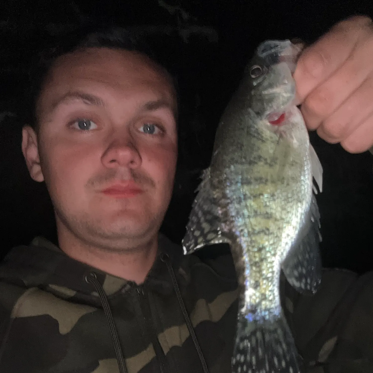 White crappie caught on Fishbrain