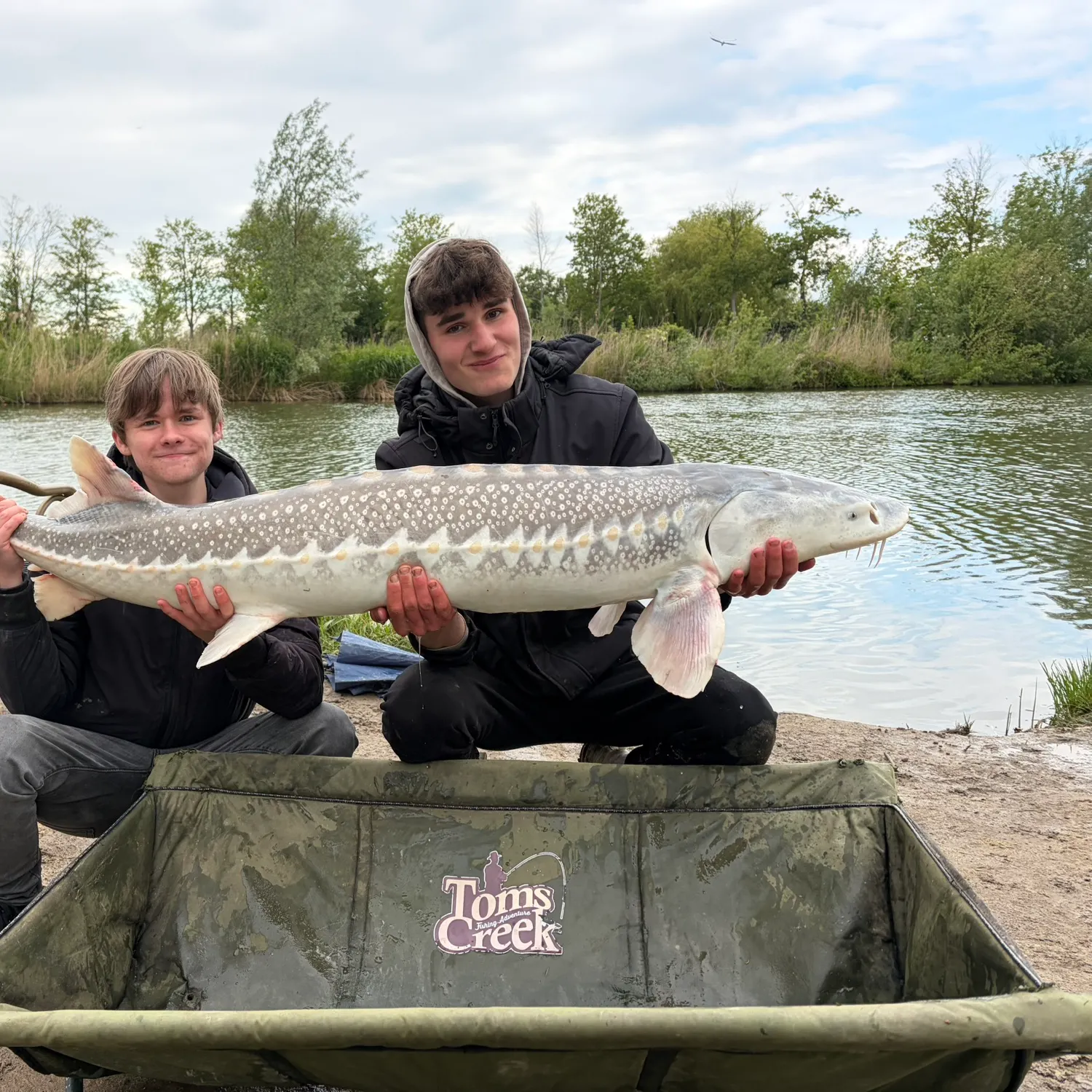 The most recent European sturgeon catches on Fishbrain