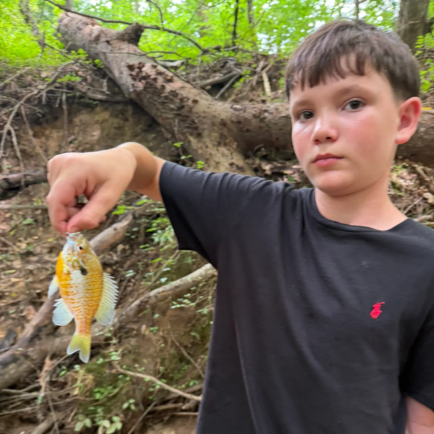 Fish caught on Fishbrain