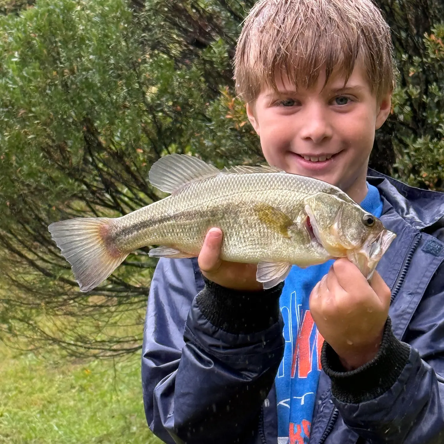 Spotted bass caught on Fishbrain