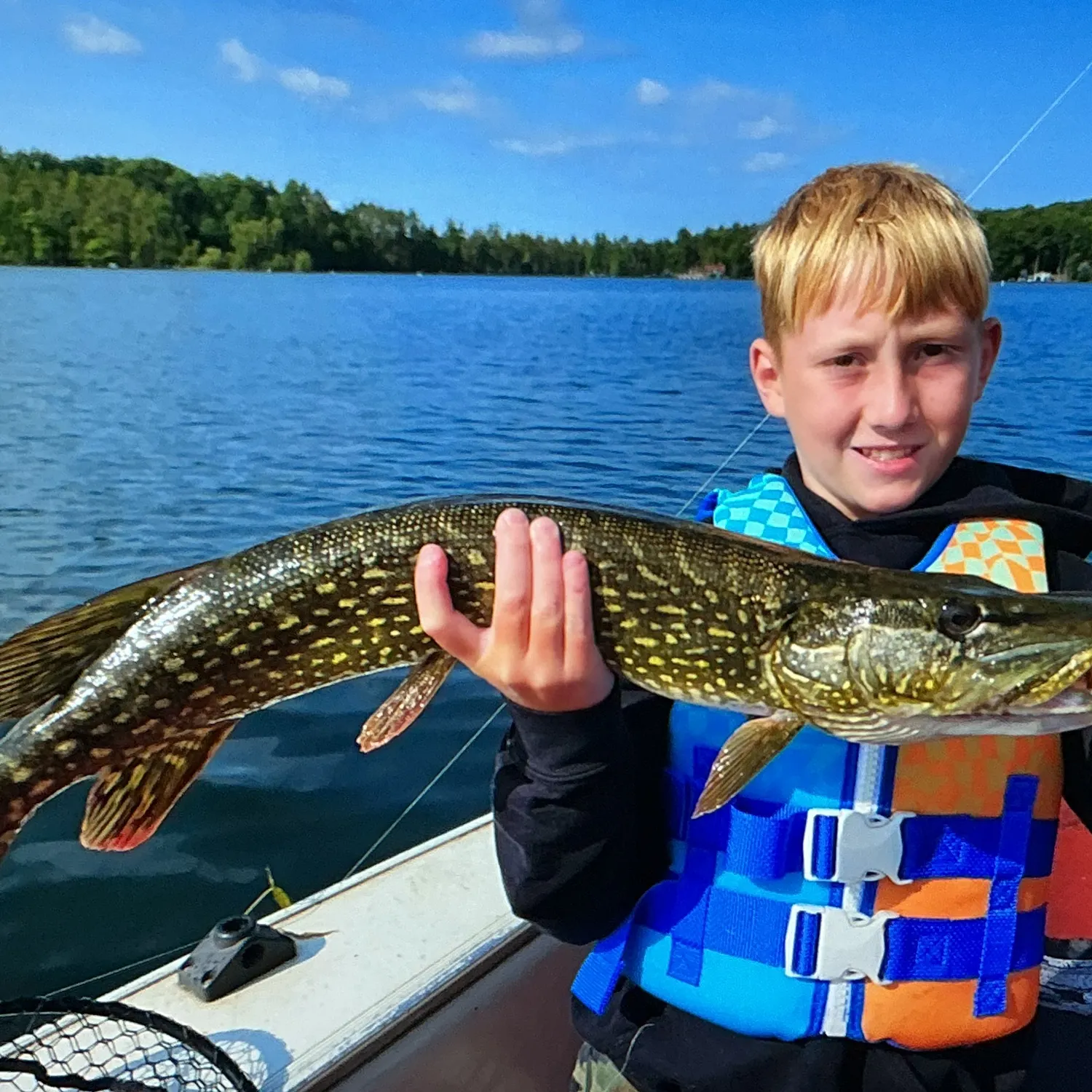 Northern pike caught on Fishbrain