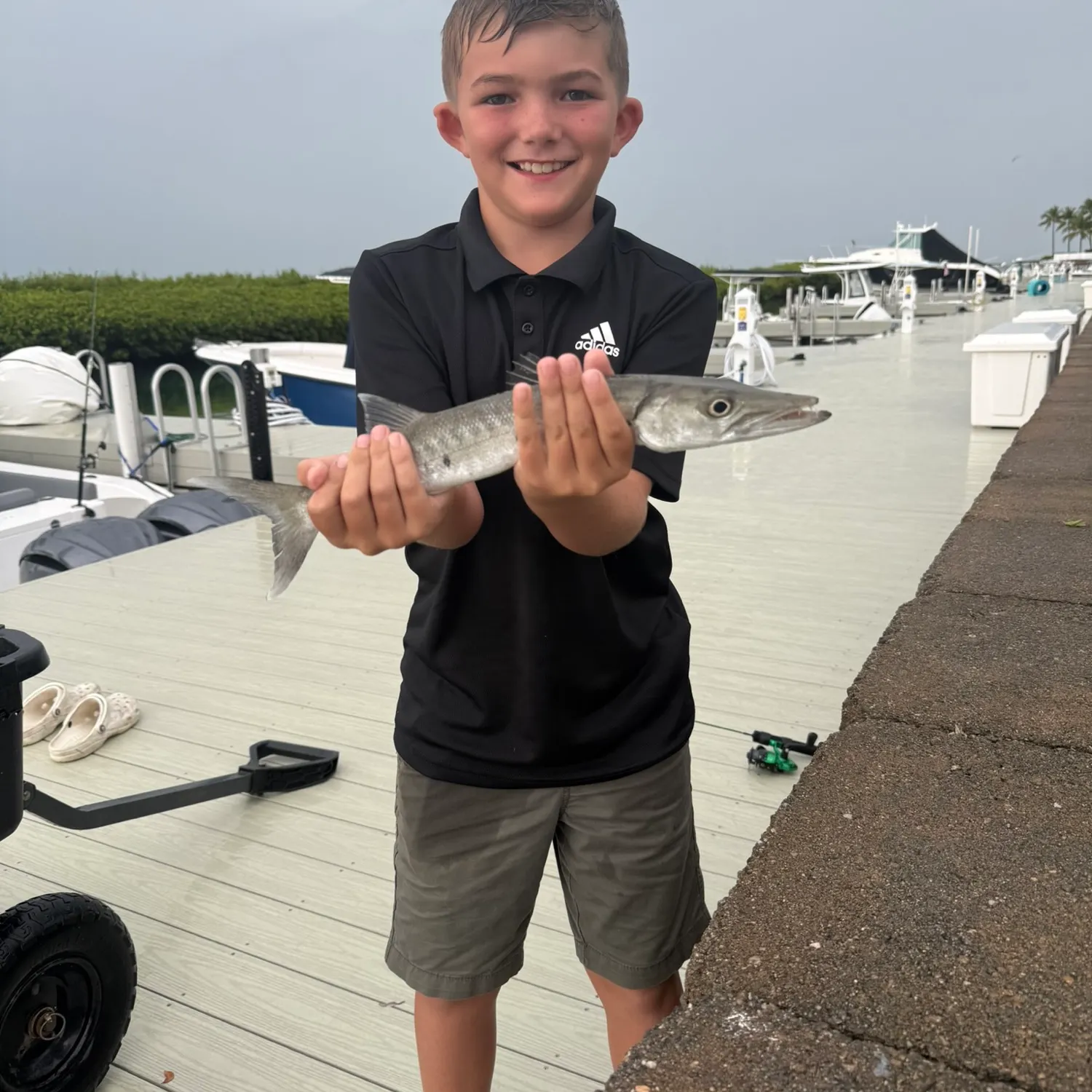 Great barracuda caught on Fishbrain