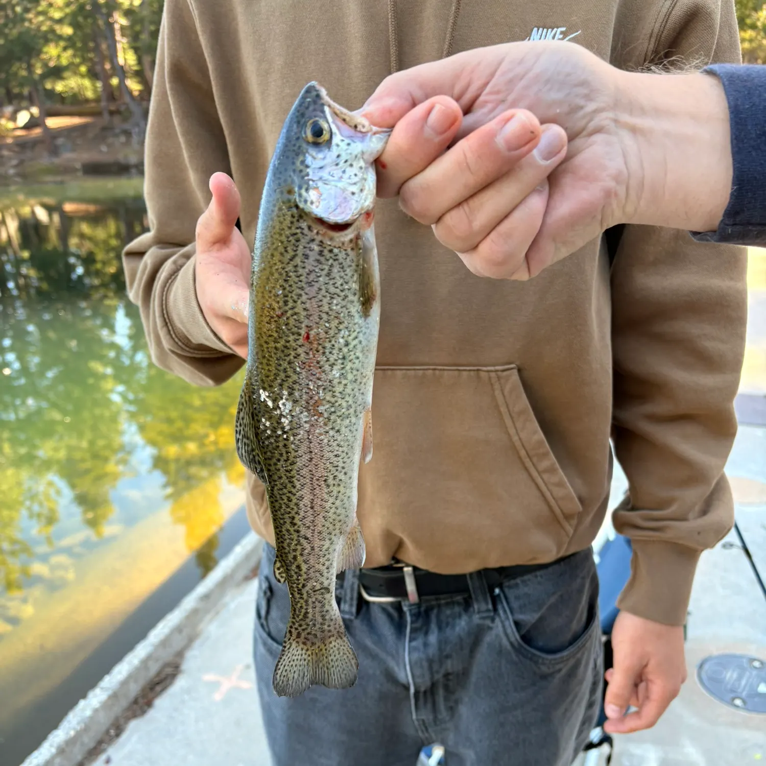 Rainbow trout caught on Fishbrain