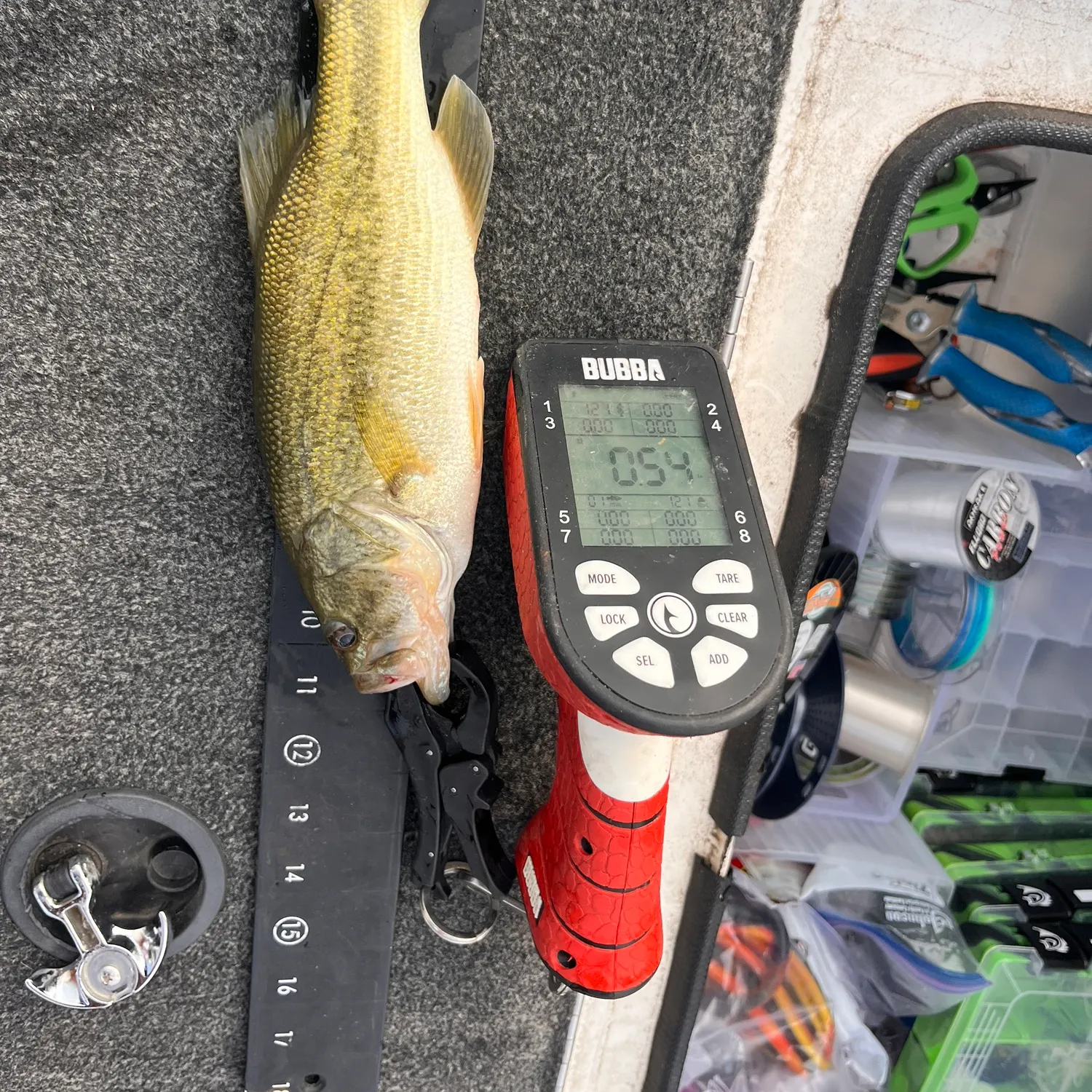 Largemouth bass caught on Fishbrain
