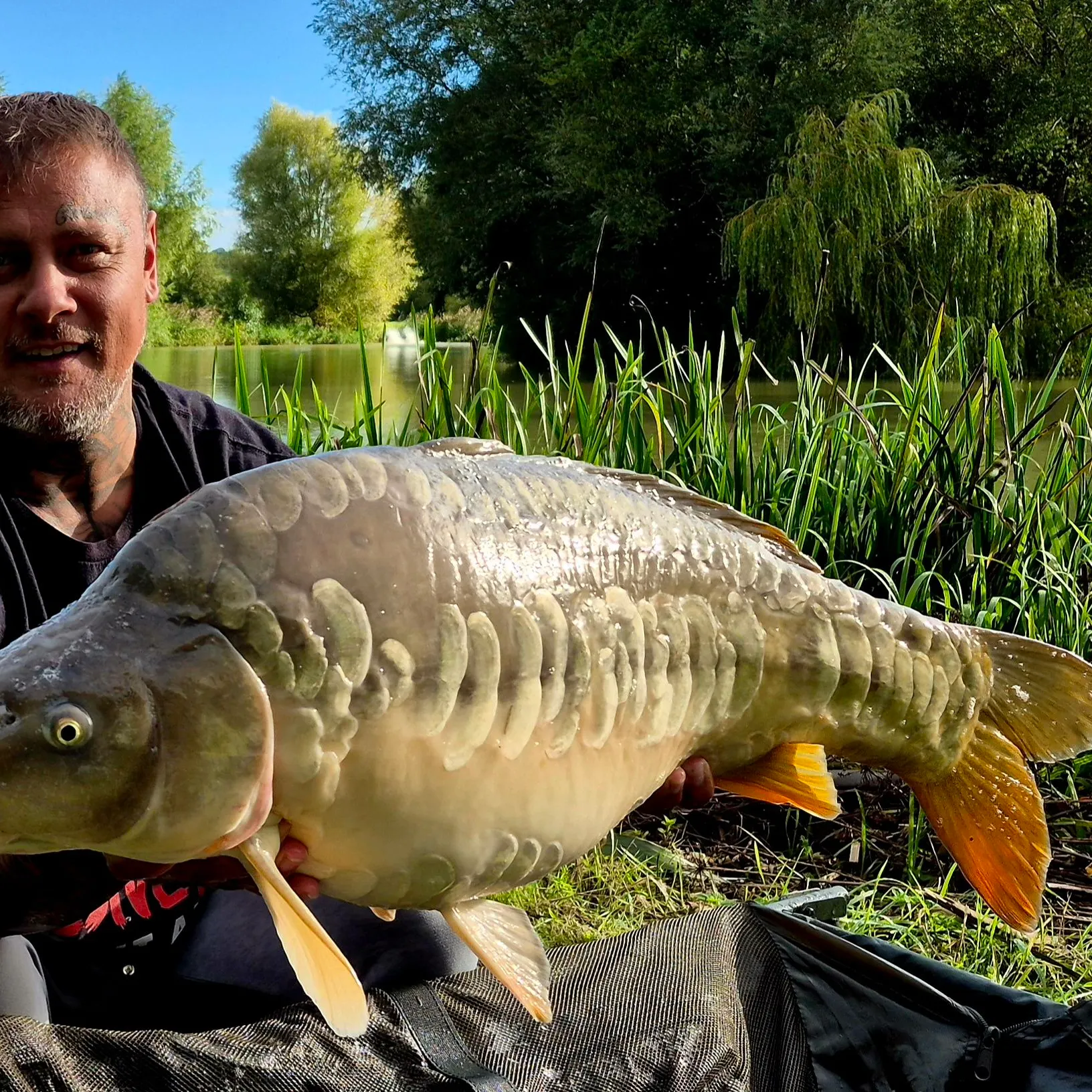 Mirror carp caught on Fishbrain