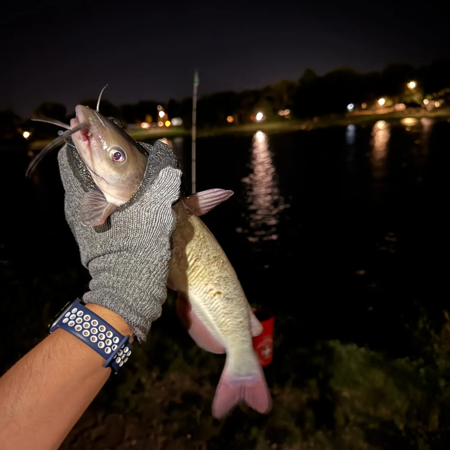 catch