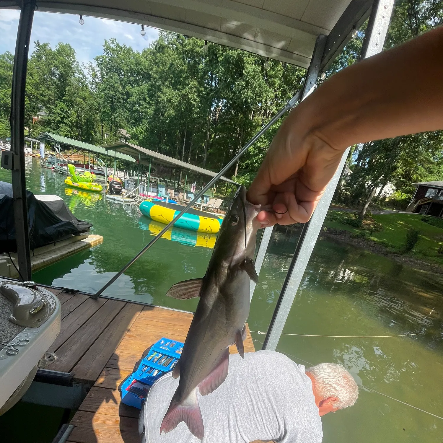 catch