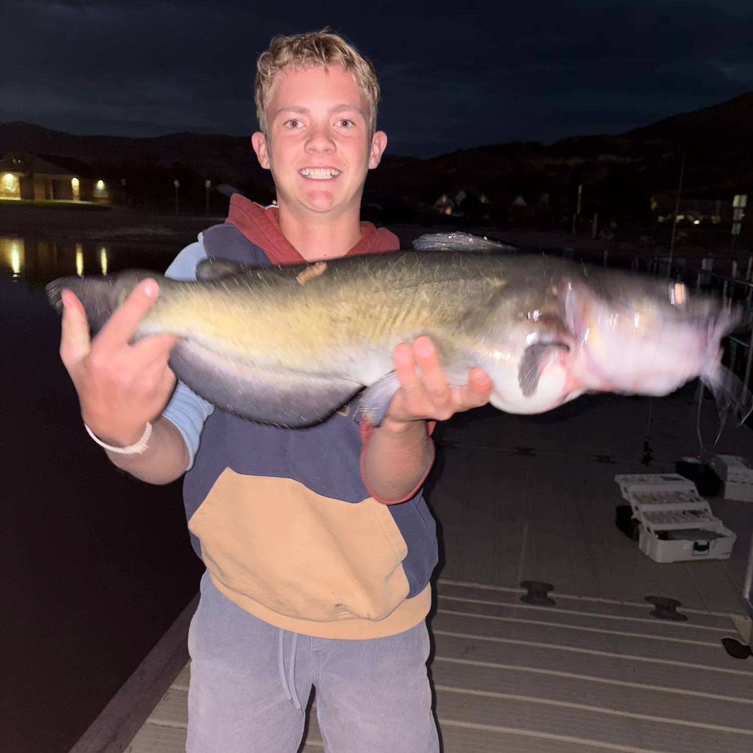 Channel catfish caught on Fishbrain