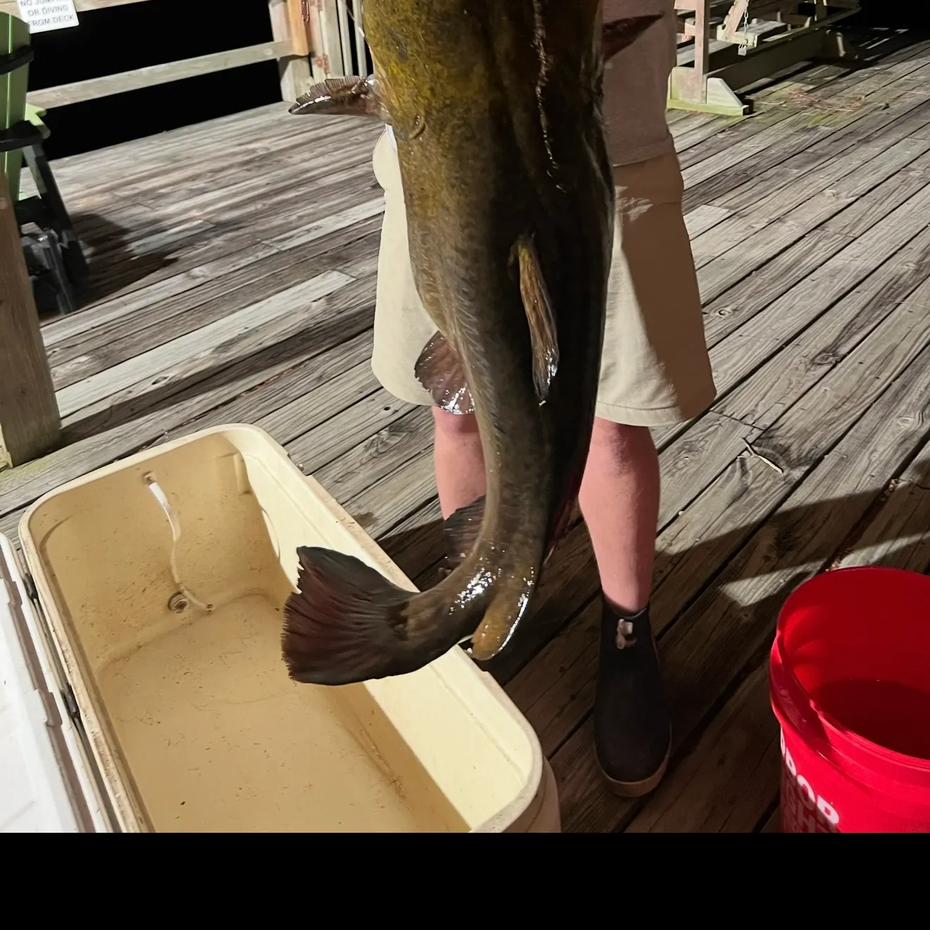 catch