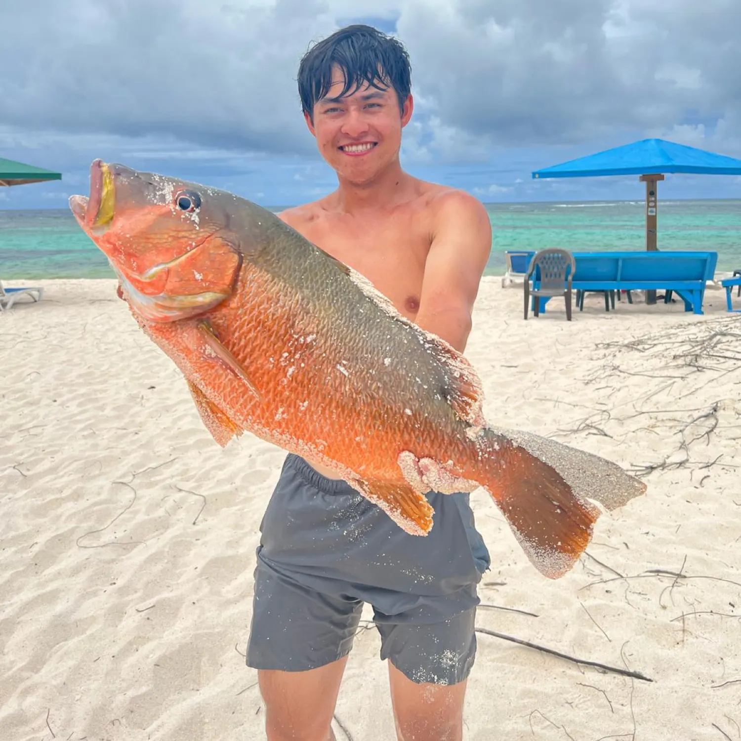 The most recent Cubera snapper catches on Fishbrain