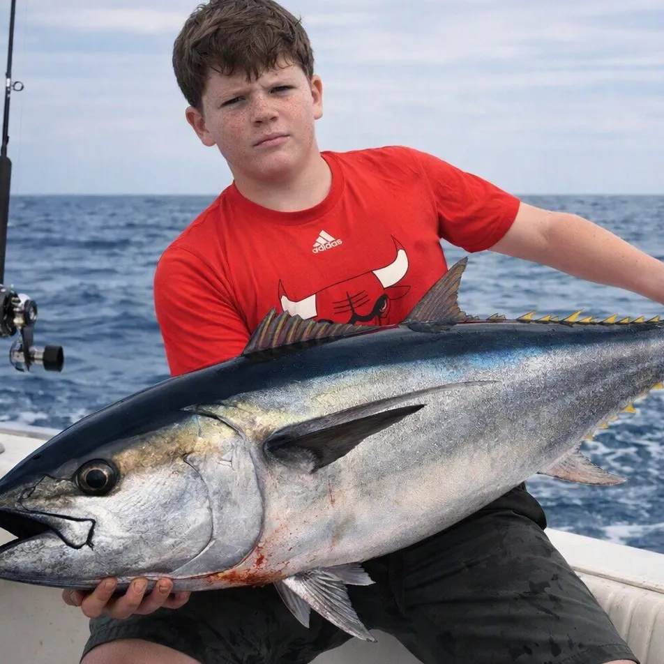 The most recent Atlantic bluefin tuna catches on Fishbrain