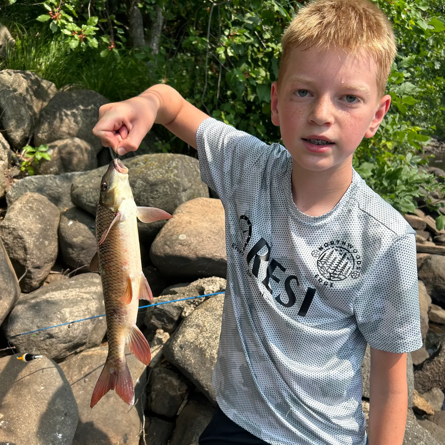 The most recent Shorthead redhorse catches on Fishbrain