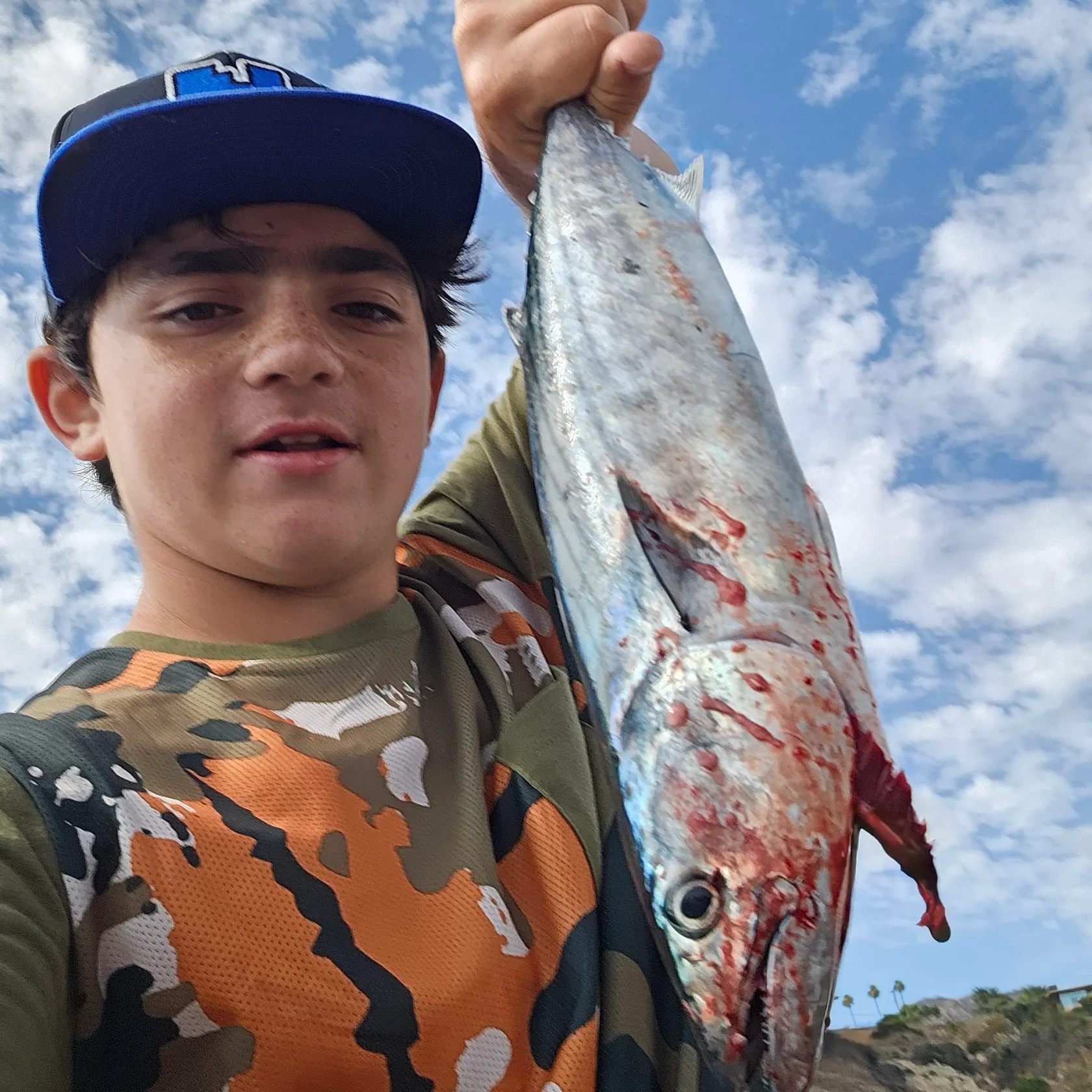 The most recent Eastern Pacific bonito catches on Fishbrain
