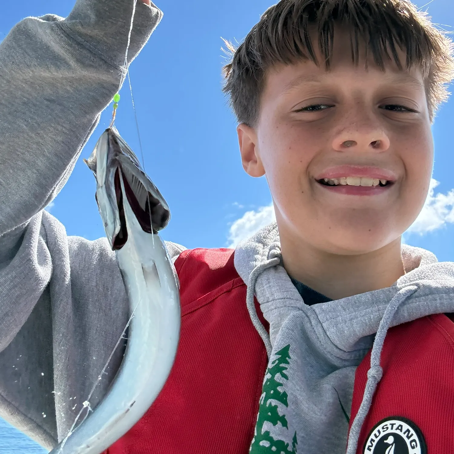 Atlantic mackerel caught on Fishbrain
