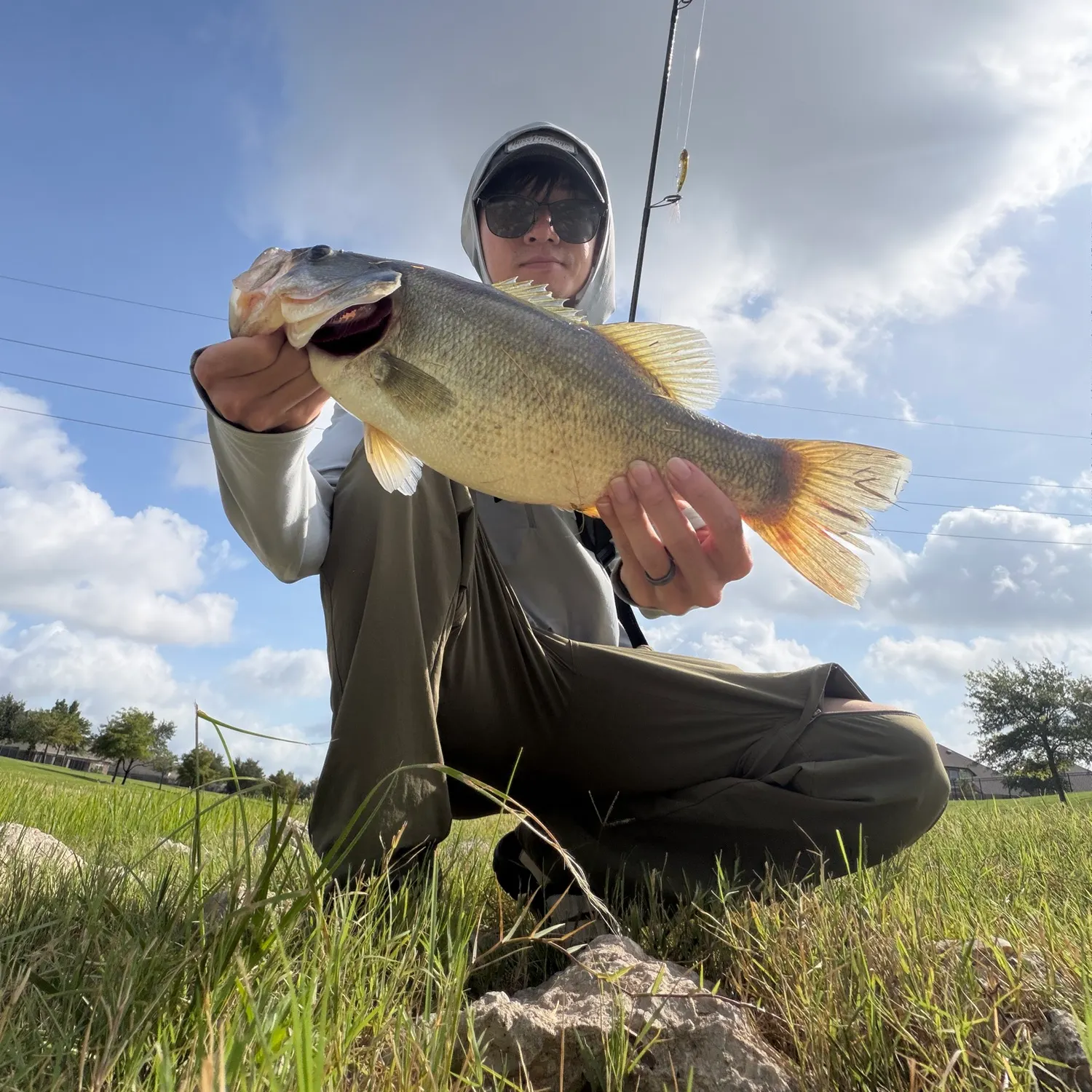 Largemouth bass caught on Fishbrain